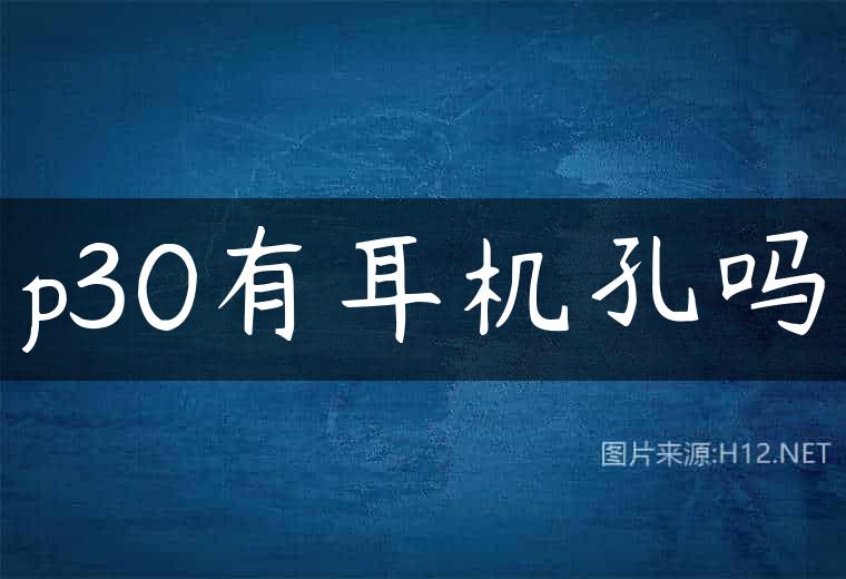 p30有耳机孔吗