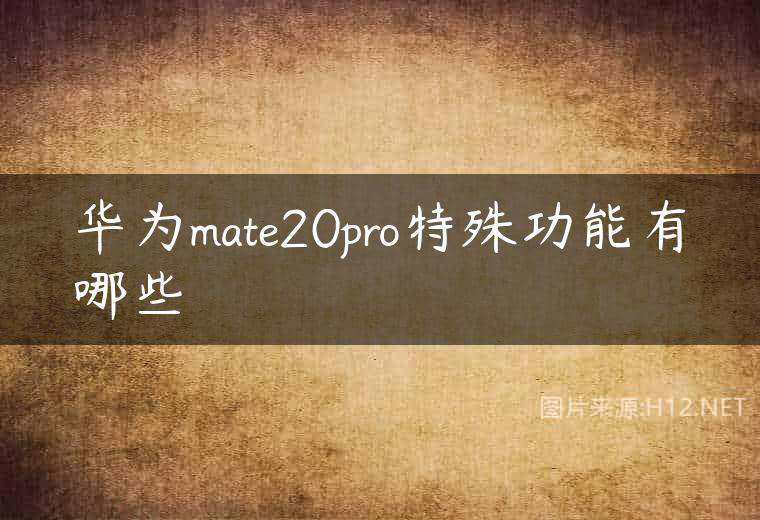 华为mate20pro特殊功能有哪些