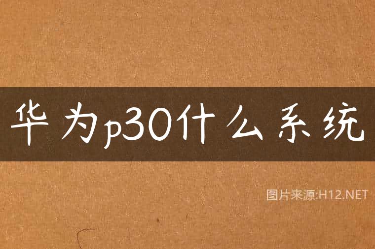 华为p30什么系统
