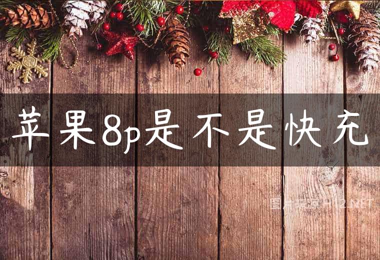 苹果8p是不是快充