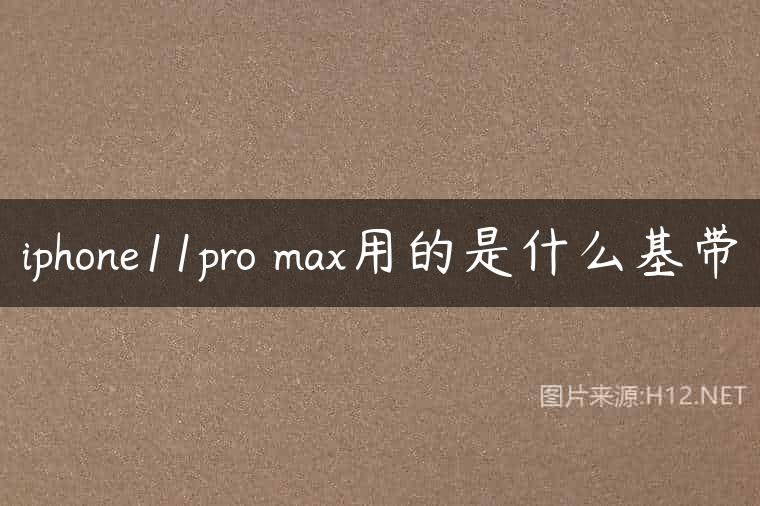 iphone11pro max用的是什么基带