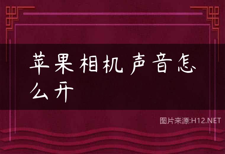 苹果相机声音怎么开