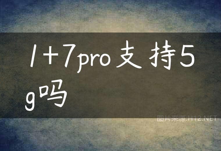 1+7pro支持5g吗