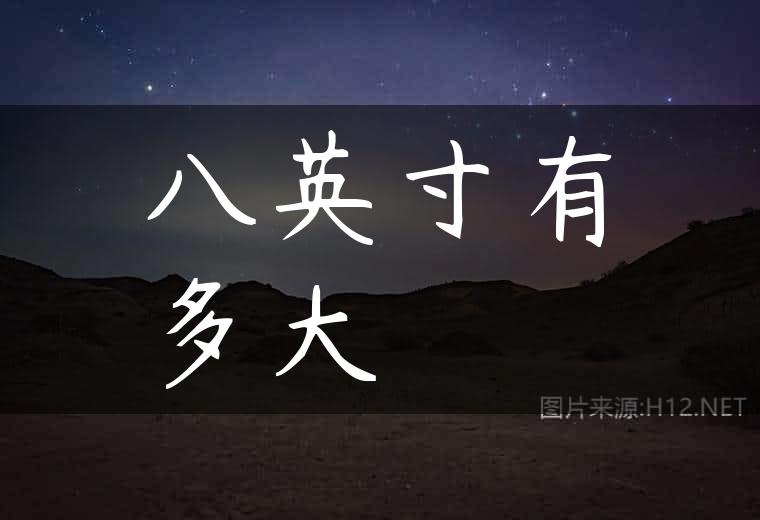 八英寸有多大