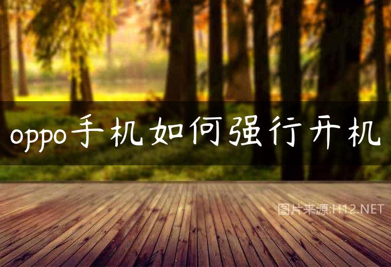 oppo手机如何强行开机