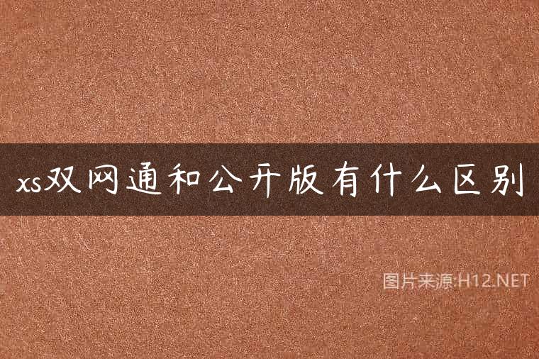 xs双网通和公开版有什么区别