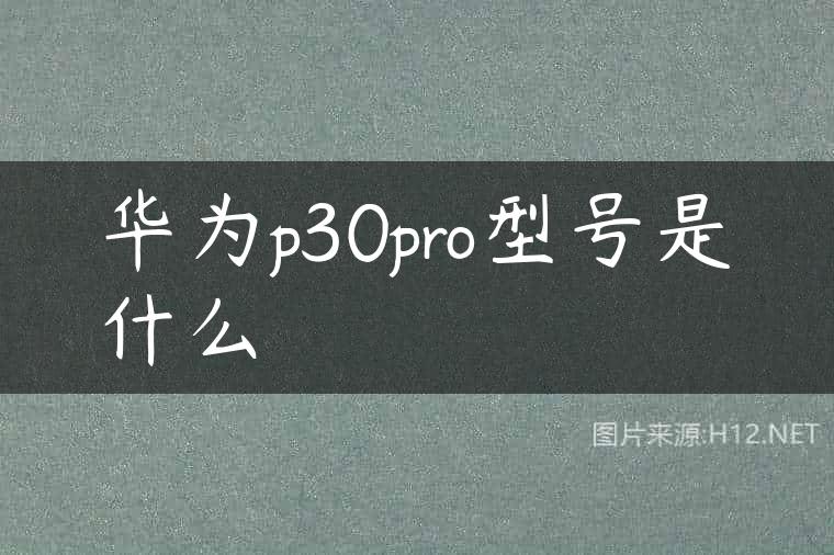 华为p30pro型号是什么