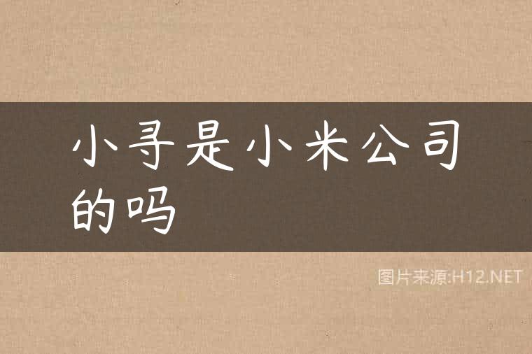 小寻是小米公司的吗