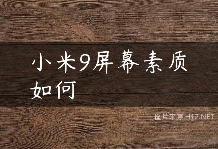 小米9屏幕素质如何