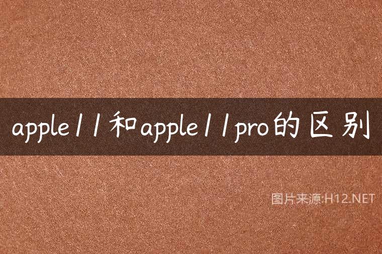 apple11和apple11pro的区别