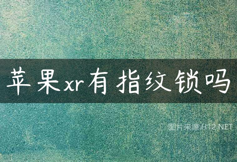 苹果xr有指纹锁吗