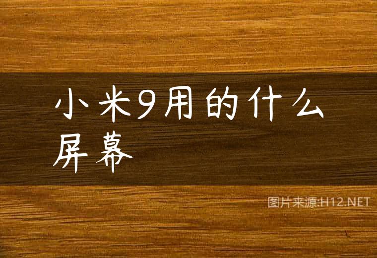 小米9用的什么屏幕