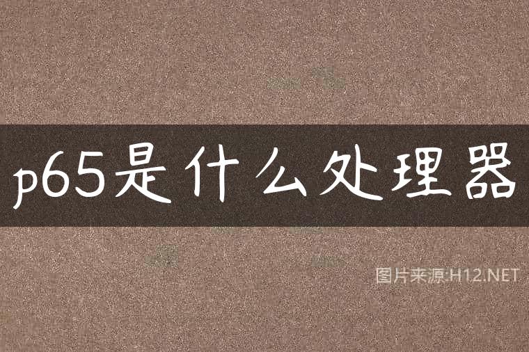 p65是什么处理器
