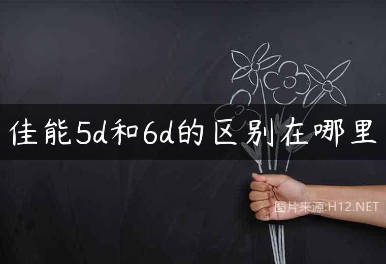 佳能5d和6d的区别在哪里