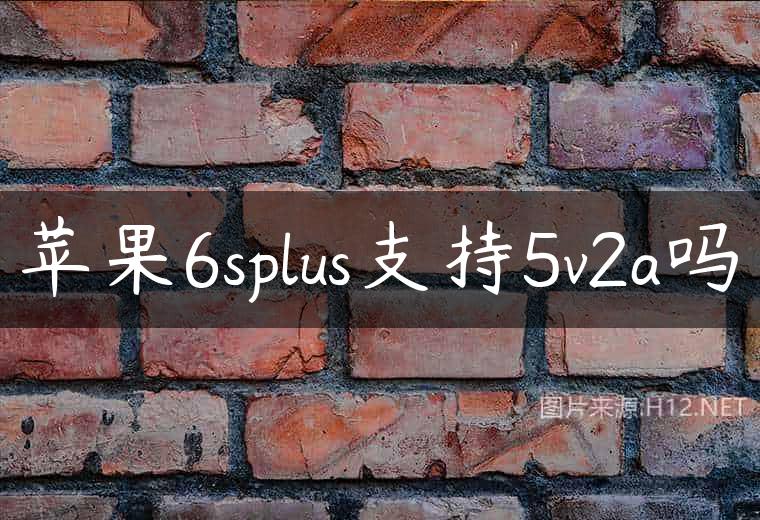 苹果6splus支持5v2a吗