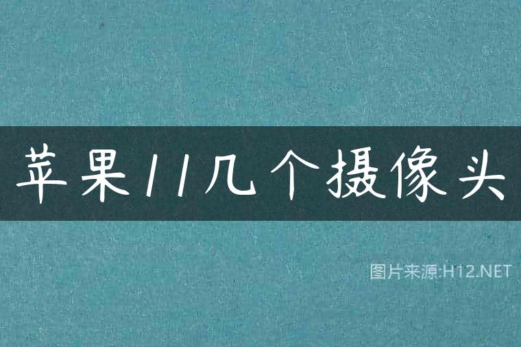 苹果11几个摄像头