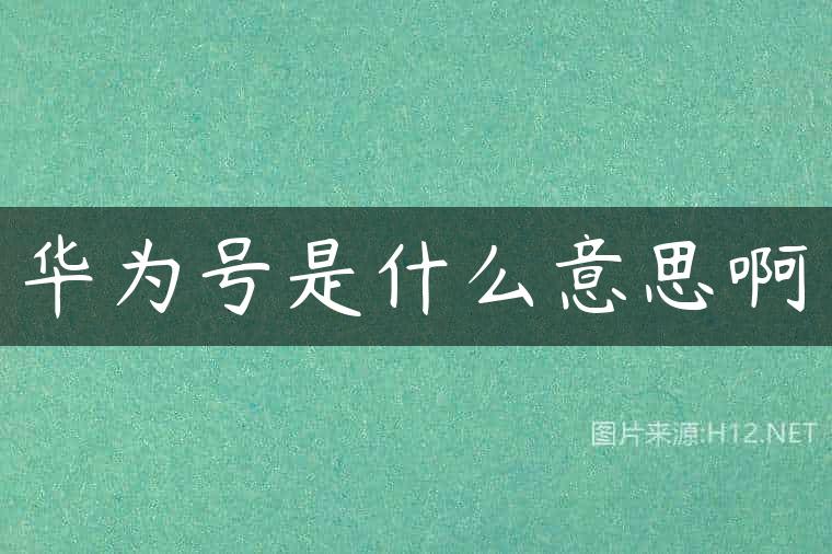 华为号是什么意思啊