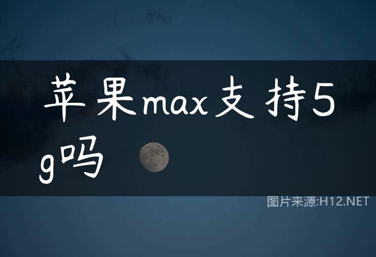 苹果max支持5g吗