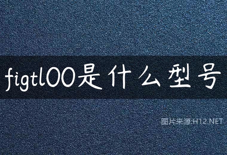 figtl00是什么型号