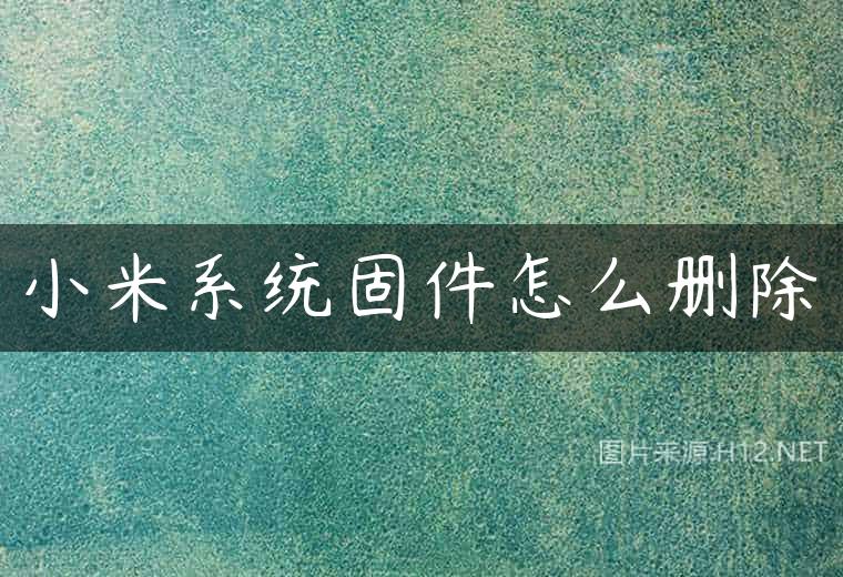 小米系统固件怎么删除