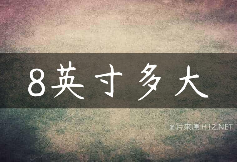 8英寸多大