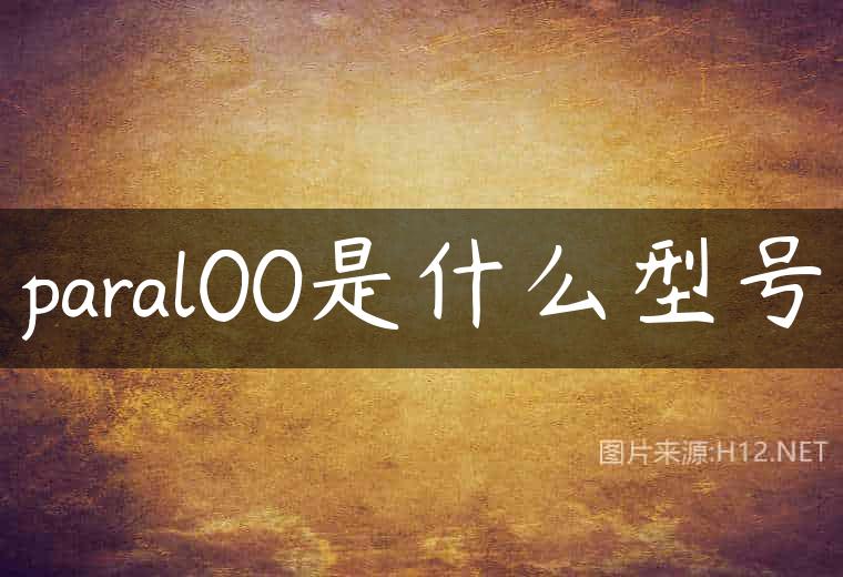 paral00是什么型号