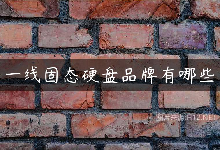 一线固态硬盘品牌有哪些