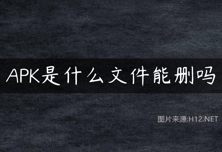 APK是什么文件能删吗