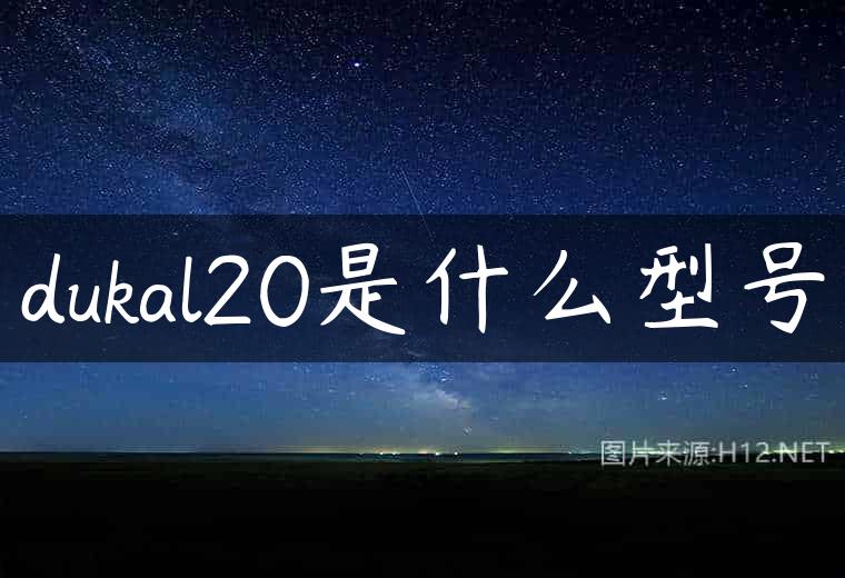 dukal20是什么型号