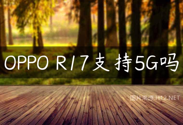 OPPO R17支持5G吗