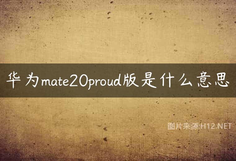 华为mate20proud版是什么意思