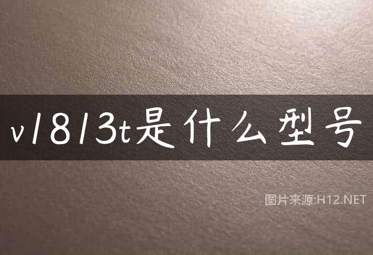 v1813t是什么型号