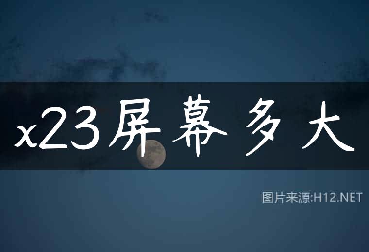 x23屏幕多大