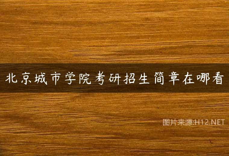 北京城市学院考研招生简章在哪看