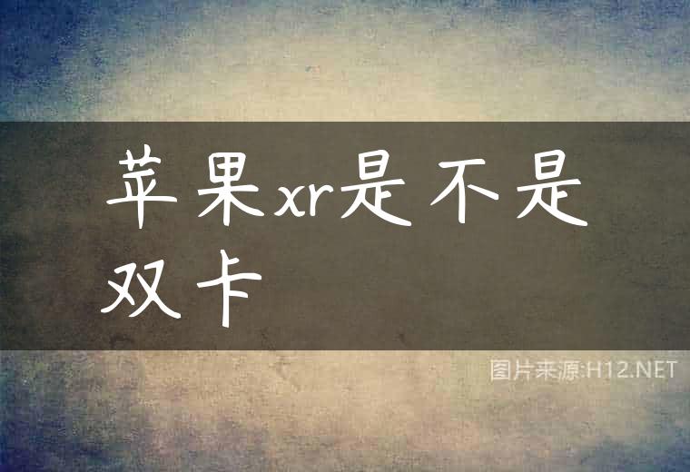 苹果xr是不是双卡