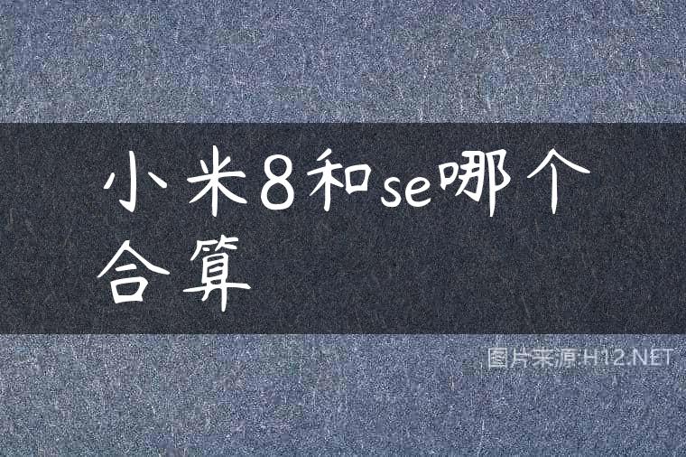 小米8和se哪个合算