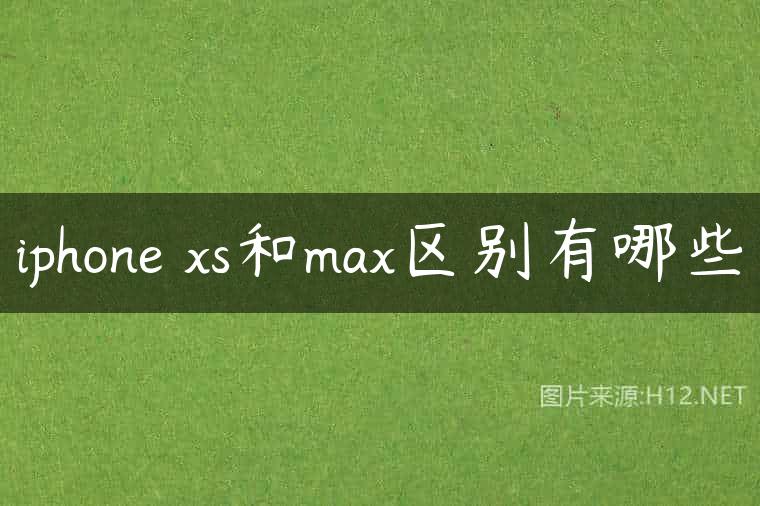 iphone xs和max区别有哪些