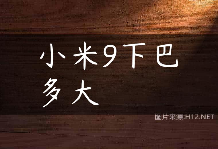 小米9下巴多大