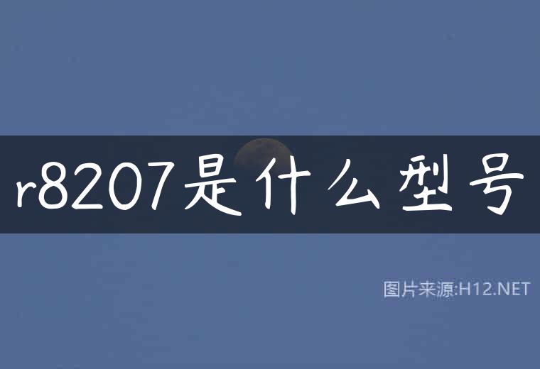 r8207是什么型号