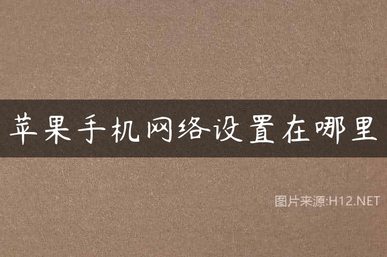 苹果手机网络设置在哪里
