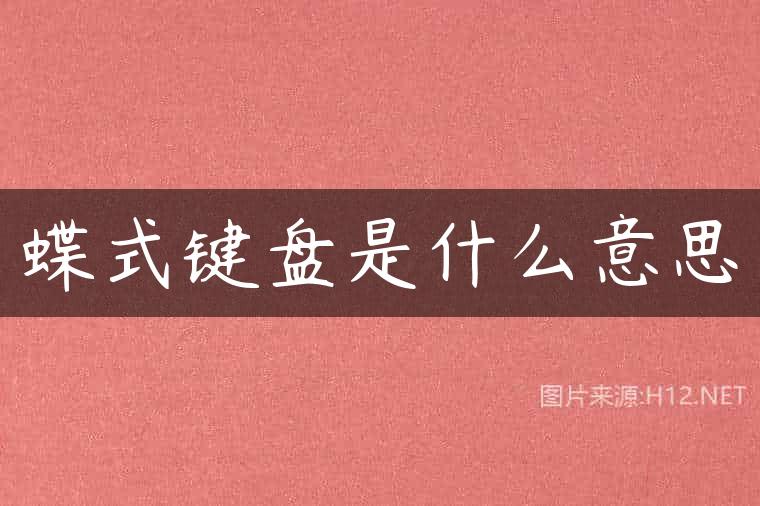 蝶式键盘是什么意思