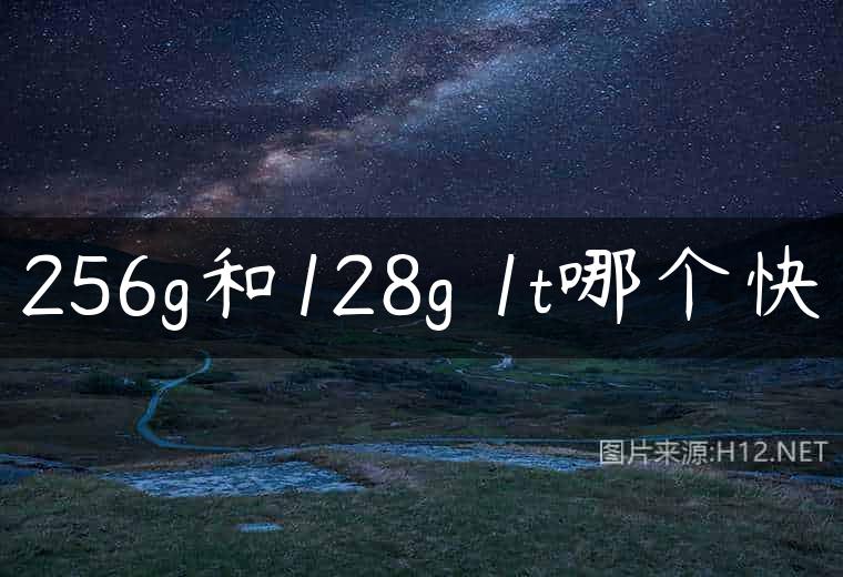 256g和128g 1t哪个快
