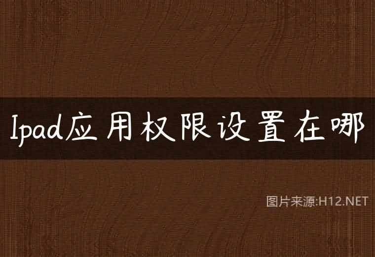 Ipad应用权限设置在哪
