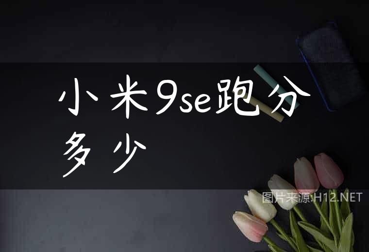小米9se跑分多少