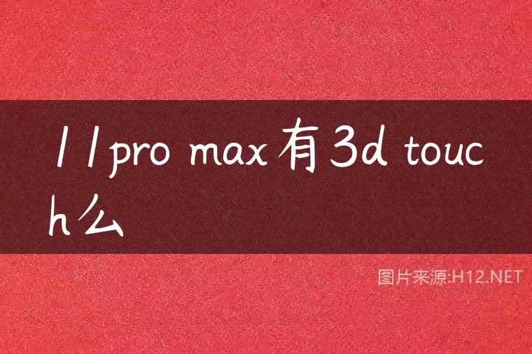 11pro max有3d touch么