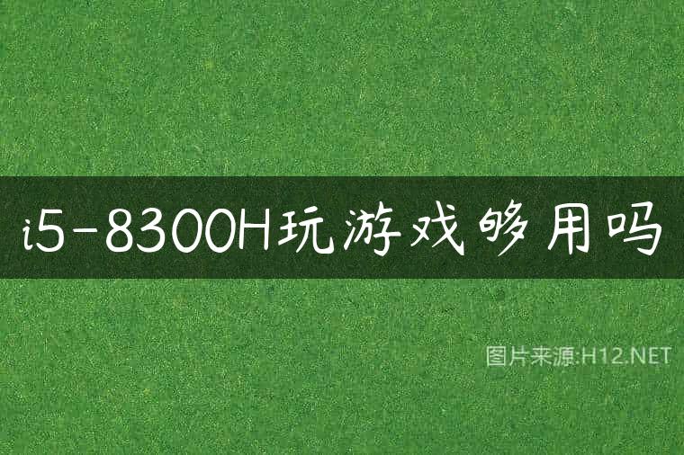 i5-8300H玩游戏够用吗