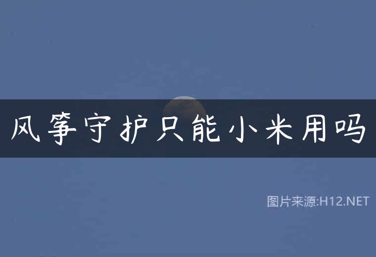 风筝守护只能小米用吗