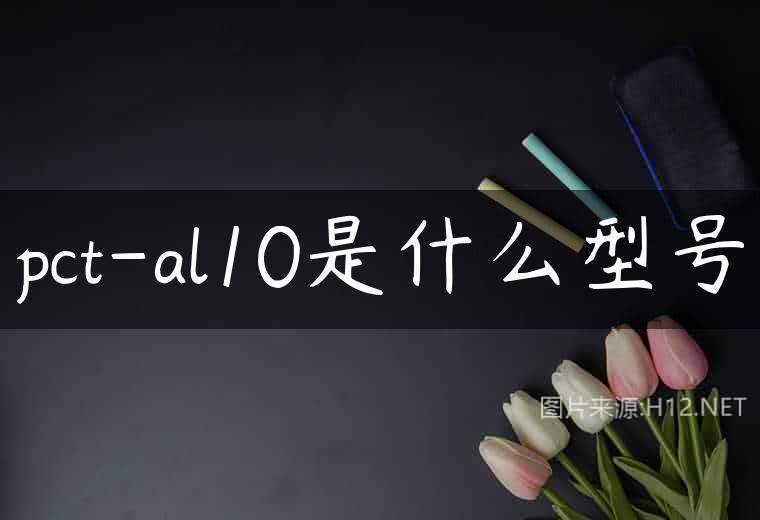 pct-al10是什么型号
