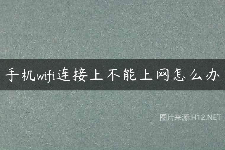 手机wifi连接上不能上网怎么办