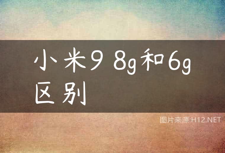 小米9 8g和6g区别